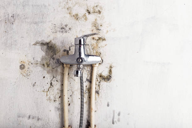 West Chatham, MA Mold Remediation Company