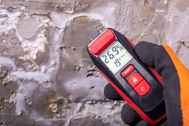Best Industrial Mold Remediation in West Chatham, MA